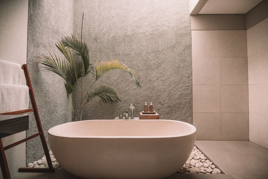 Tanaman Penyejuk Ruangan, Palm/ Foto: Unsplash (Jared Rice )