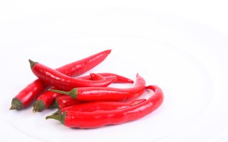 Cabai rawit tidak disukai oleh tikus