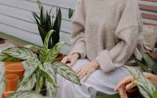 Tanaman meningkatkan kesehatan mental