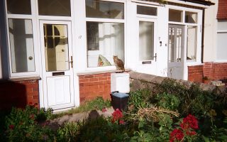 Warna cat rumah bagian luar yang cerah