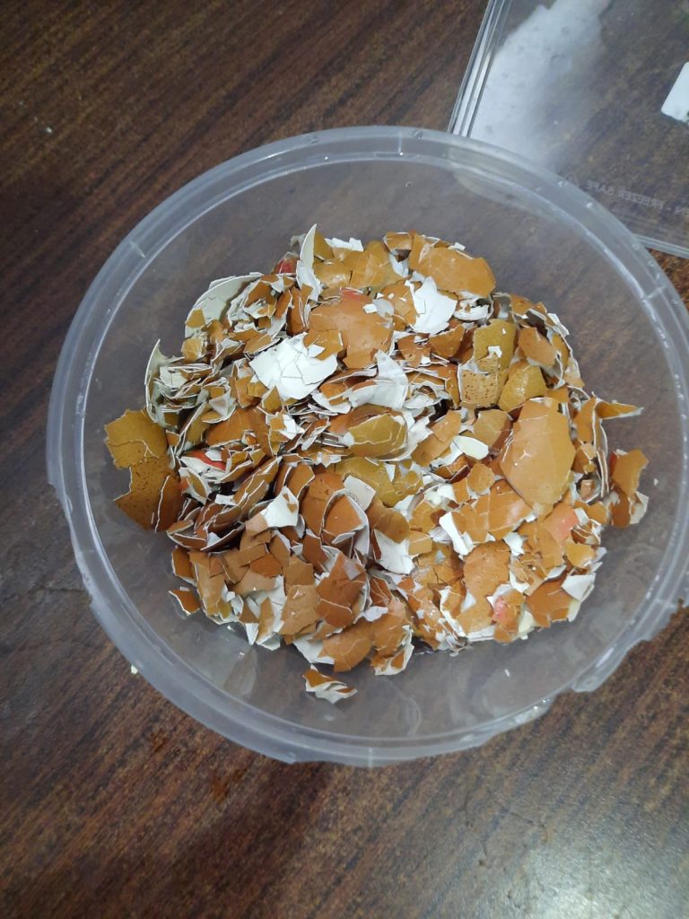 Simpan Kulit Telur