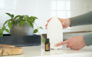 Jenis Pewangi Ruangan