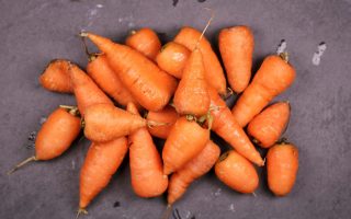 Menyimpan Wortel di Kulkas