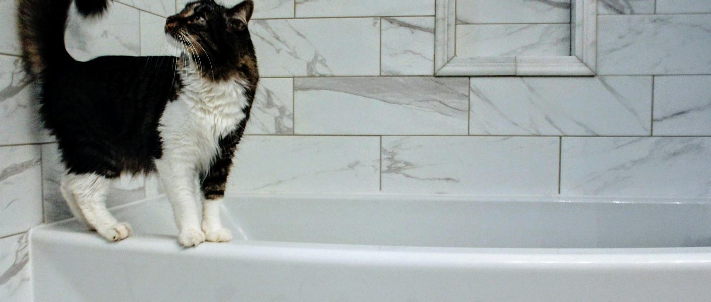 Kucing Tidur di Dalam Kamar Mandi