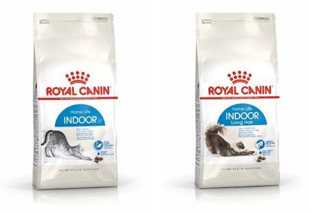 Rekomendasi Makanan Kucing dan Anjing