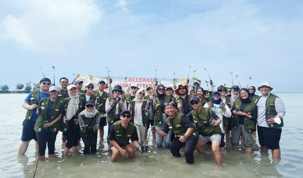 Kontribusi Karyawan Astra Property Menanam 500 Bibit Mangrove di Pulau Pramuka
