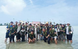 Kontribusi Karyawan Astra Property Menanam 500 Bibit Mangrove di Pulau Pramuka