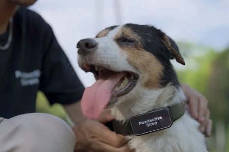 Teknologi Canggih di Collar Pintar Untuk Anjing, Foto: Dok. Pawtective Siren