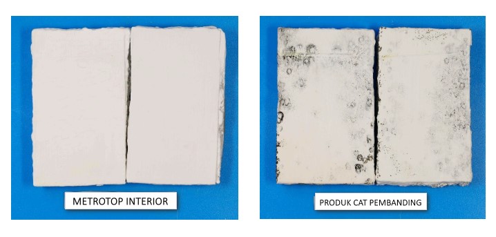 Hasil uji ketahanan terhadap pertumbuhan jamur (dry film fungal resistance)